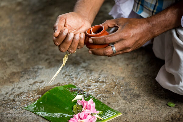 Photo of Cartagena's cathedral at the background and some colonial style houses